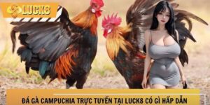 da-ga-campuchia-thumb