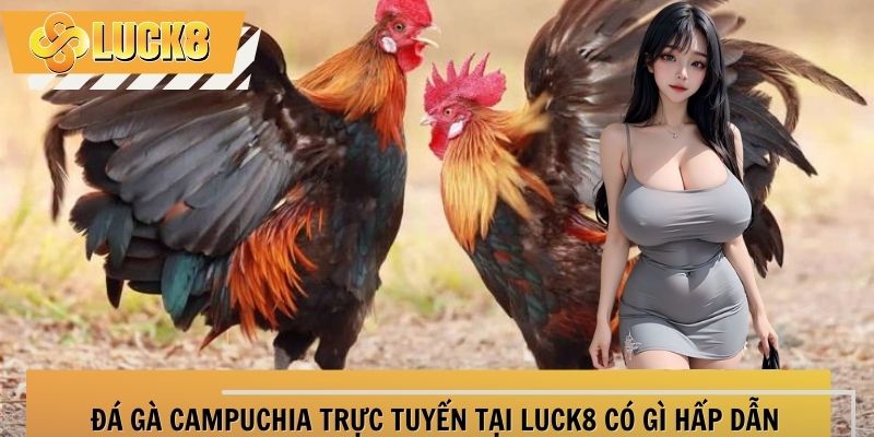 da-ga-campuchia-thumb